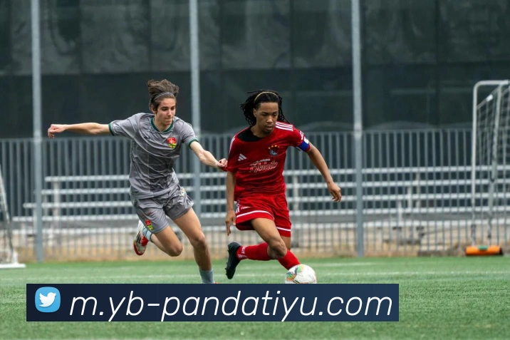 App Interface Preview