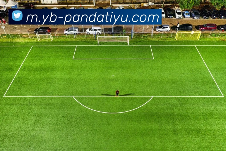 熊猫体育APP 封面图